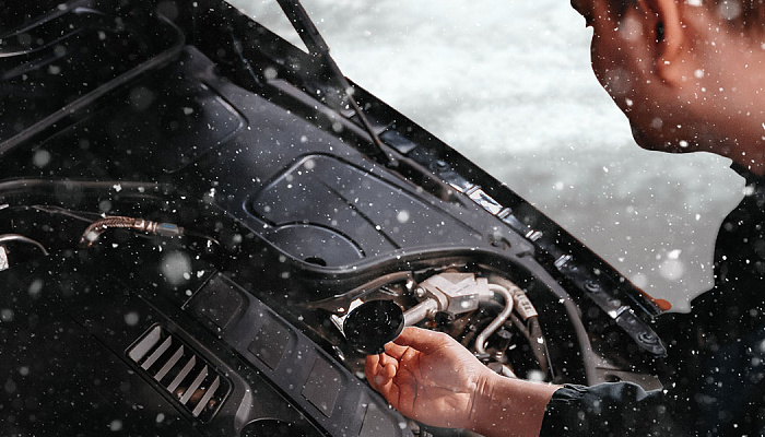 Зимний пакет «Фрэнсис» - 4 900₽